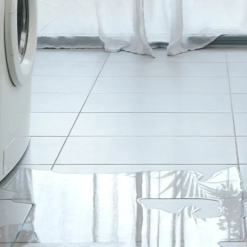 Appliance Leak Cleanup in Beverly Hills, MI