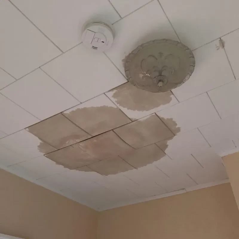 Ceiling Water Damage Repair in Beverly Hills, MI
