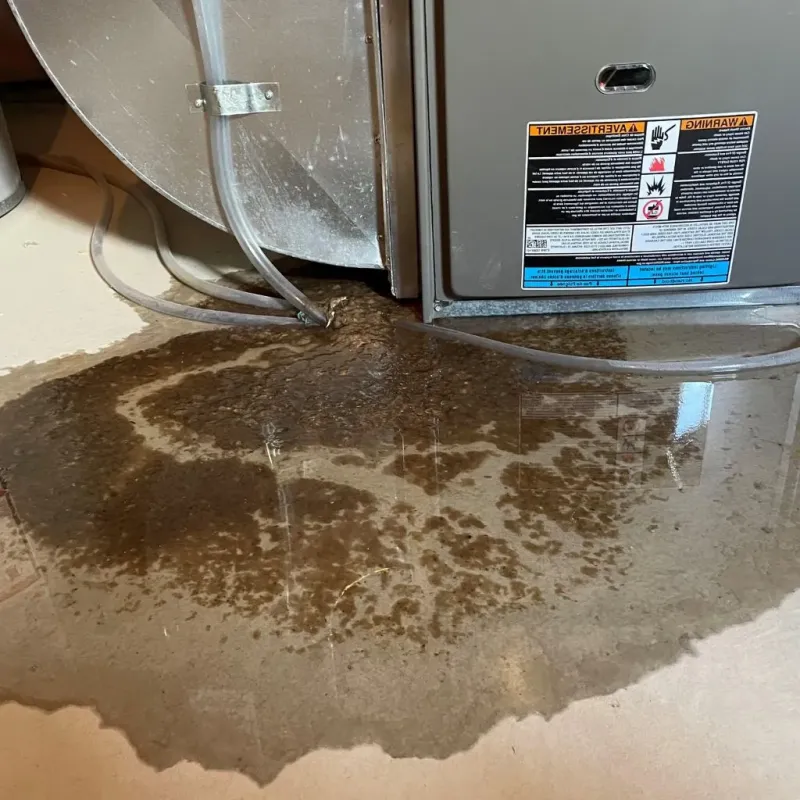 Pipe Burst and Leak Restoration in Beverly Hills, MI